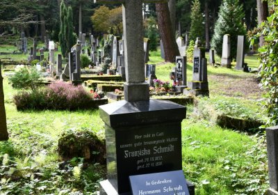 Vejprty, Omnium, 2020