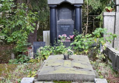 Vejprty, Omnium, 2020