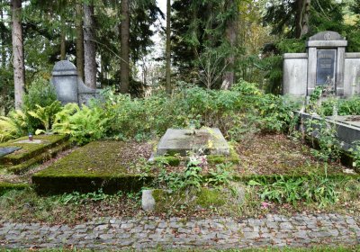 Vejprty, Omnium, 2020