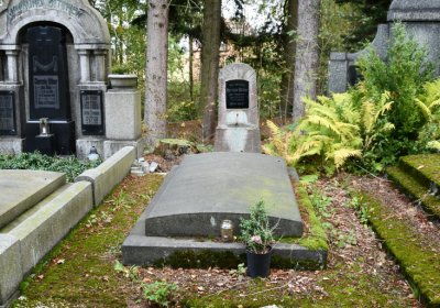 Vejprty, Omnium, 2020