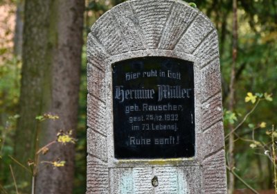 Vejprty, Omnium, 2020