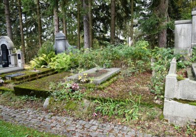 Vejprty, Omnium, 2020