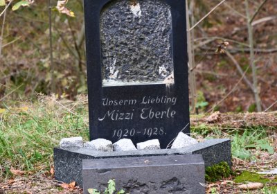 Vejprty, Omnium, 2020