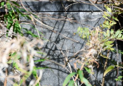 Vejprty, Omnium, 2020