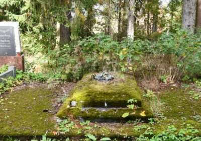 Vejprty, Omnium, 2020