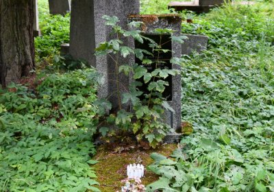 Vejprty, Omnium, 2020