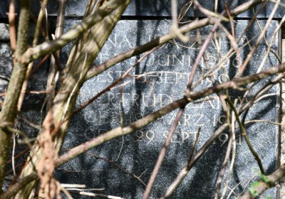 Vejprty, Omnium, 2020