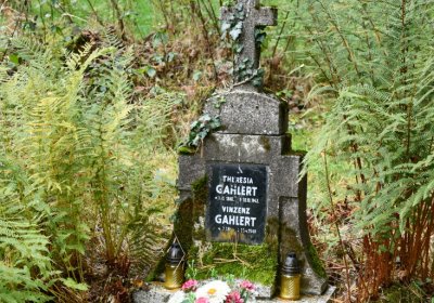 Vejprty, Omnium, 2020