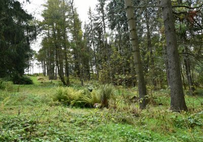 Vejprty, Omnium, 2020