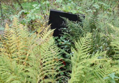 Vejprty, Omnium, 2020