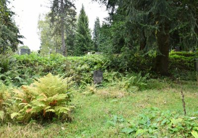 Vejprty, Omnium, 2020