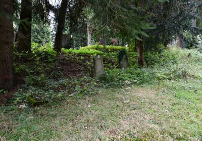 Vejprty, Omnium, 2020