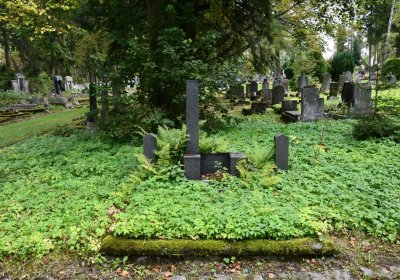 Vejprty, Omnium, 2020