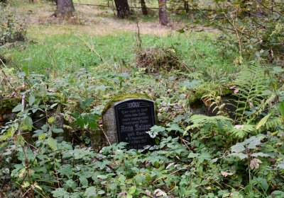 Vejprty, Omnium, 2020