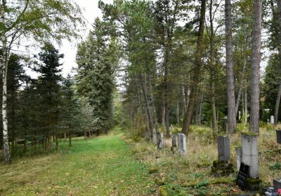 Vejprty, Omnium, 2020