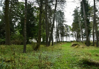 Vejprty, Omnium, 2020