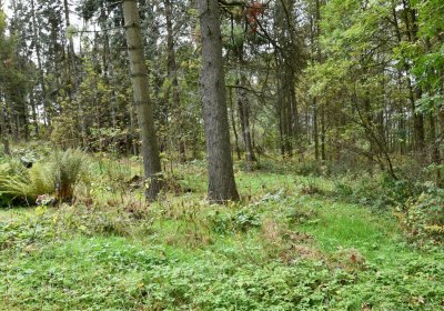 Vejprty, Omnium, 2020