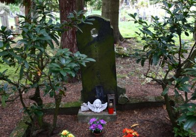 Vejprty, Omnium, 2020