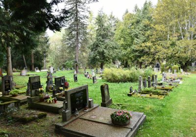 Vejprty, Omnium, 2020