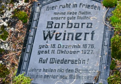 Vejprty, Omnium, 2020