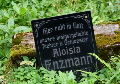 Vejprty, Omnium, 2020