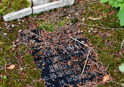 Vejprty, Omnium, 2020