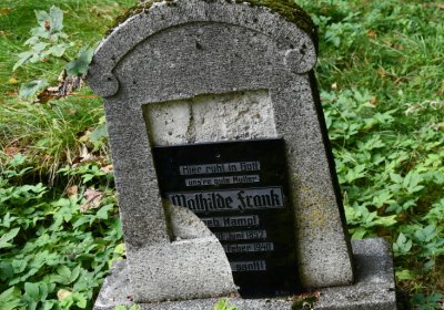 Vejprty, Omnium, 2020