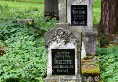 Vejprty, Omnium, 2020