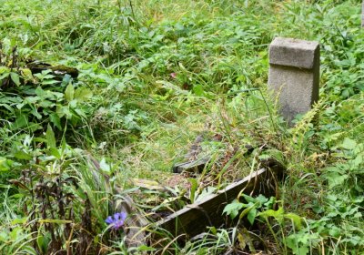 Vejprty, Omnium, 2020