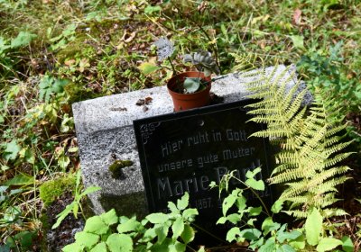 Vejprty, Omnium, 2020