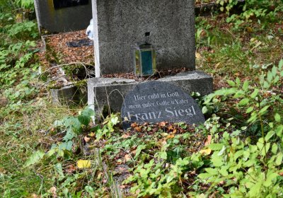 Vejprty, Omnium, 2020