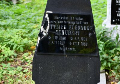 Vejprty, Omnium, 2020