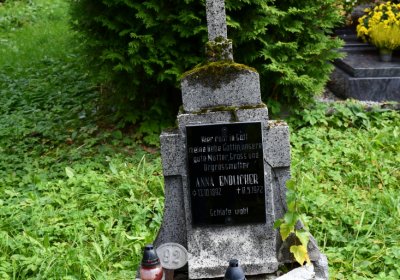 Vejprty, Omnium, 2020