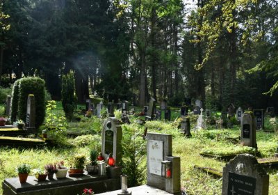 Vejprty, Omnium, 2020