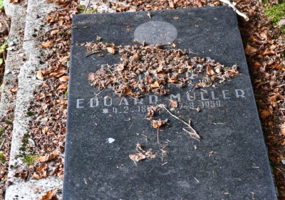 Vejprty, Omnium, 2020