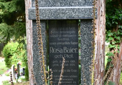 Vejprty, Omnium, 2020