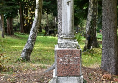 Vejprty, Omnium, 2020