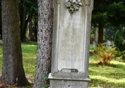 Vejprty, Omnium, 2020