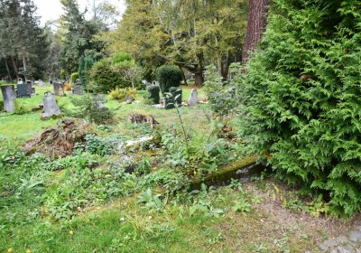 Vejprty, Omnium, 2020