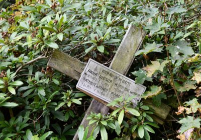 Vejprty, Omnium, 2020