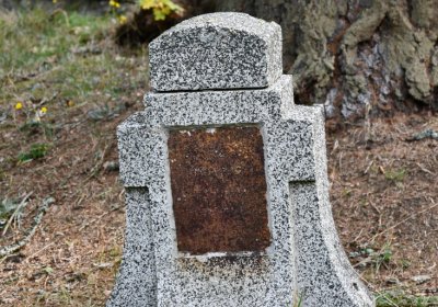 Vejprty, Omnium, 2020