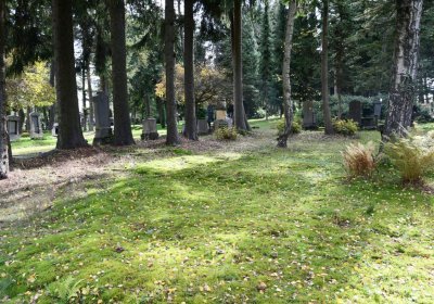 Vejprty, Omnium, 2020