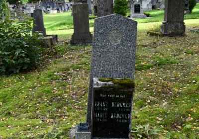 Vejprty, Omnium, 2020