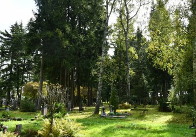 Vejprty, Omnium, 2020