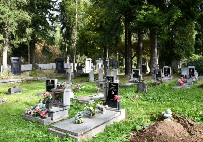 Vejprty, Omnium, 2020