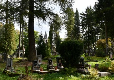 Vejprty, Omnium, 2020