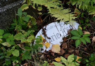 Vejprty, Omnium, 2020