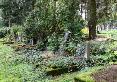 Vejprty, Omnium, 2020