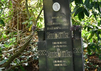 Vejprty, Omnium, 2020