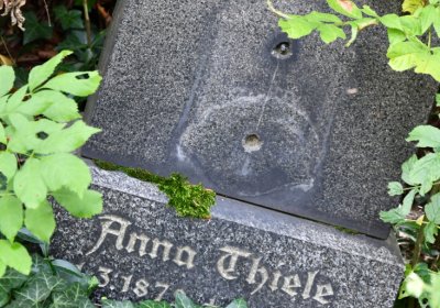 Vejprty, Omnium, 2020